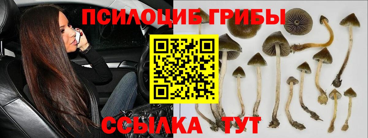 Галлюциногенные грибы мухоморы Тобольск